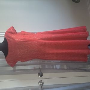 ❤️Evan Picone Women's Cap Sleeve  Lace Fit & Flare Dress - Tangerine Sz …